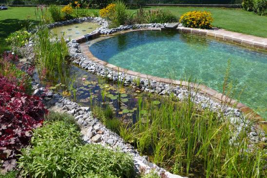 Pool- und Teichbau