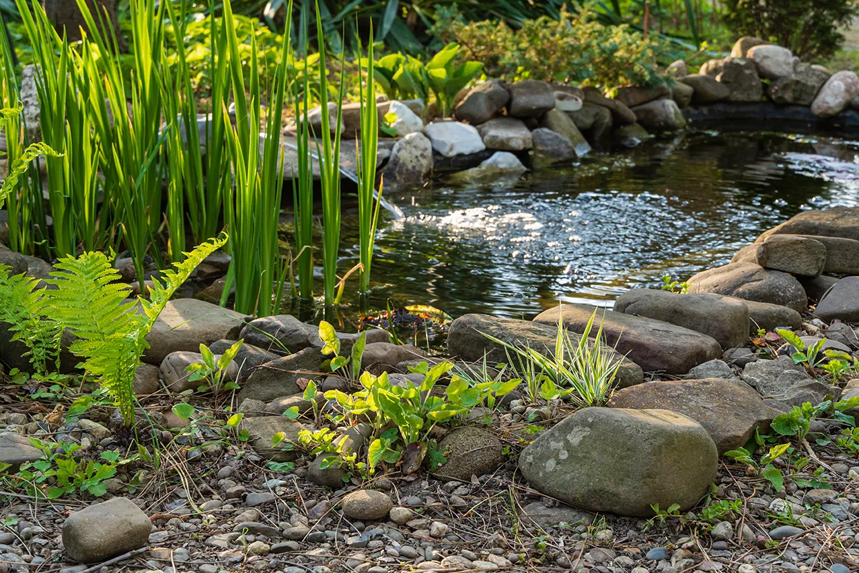 Garten und Gartenbau